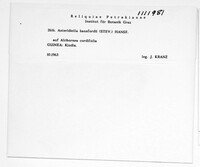 Image Associated With the Occurrence